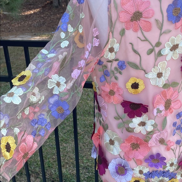 Storia Sheer Dress with Full Length Liner and Floral Embroidery - Picture 9 of 13